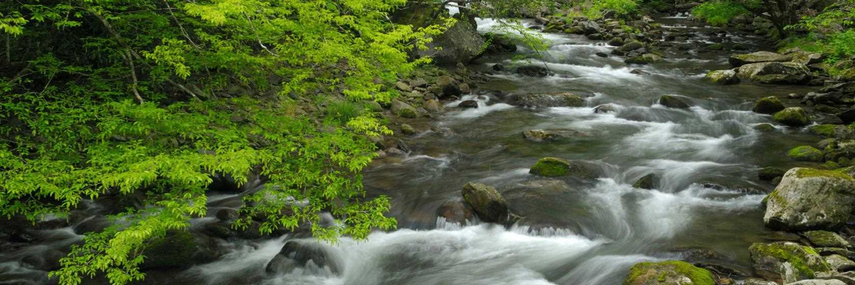 Foto do Alto Paraíso de Goiás