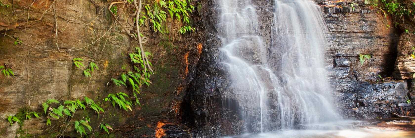 Foto do Águas de São Pedro