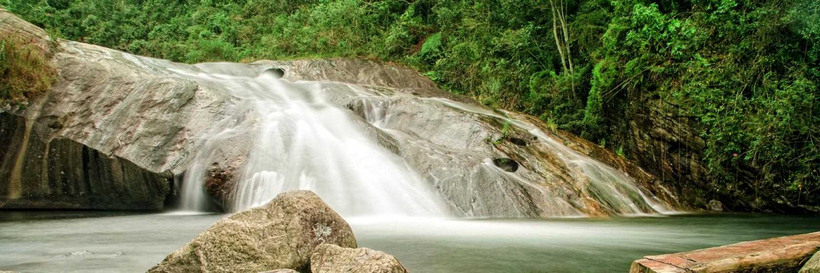 Foto do Tubarão