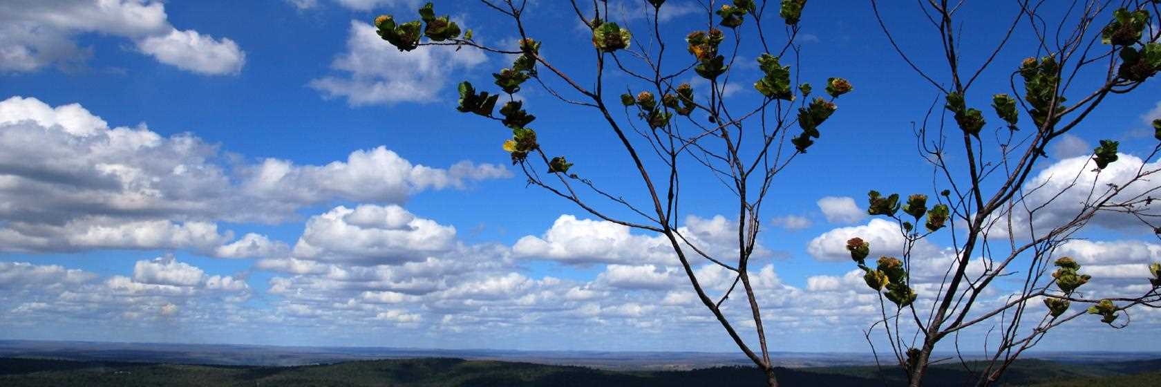 Foto do Ouro Branco