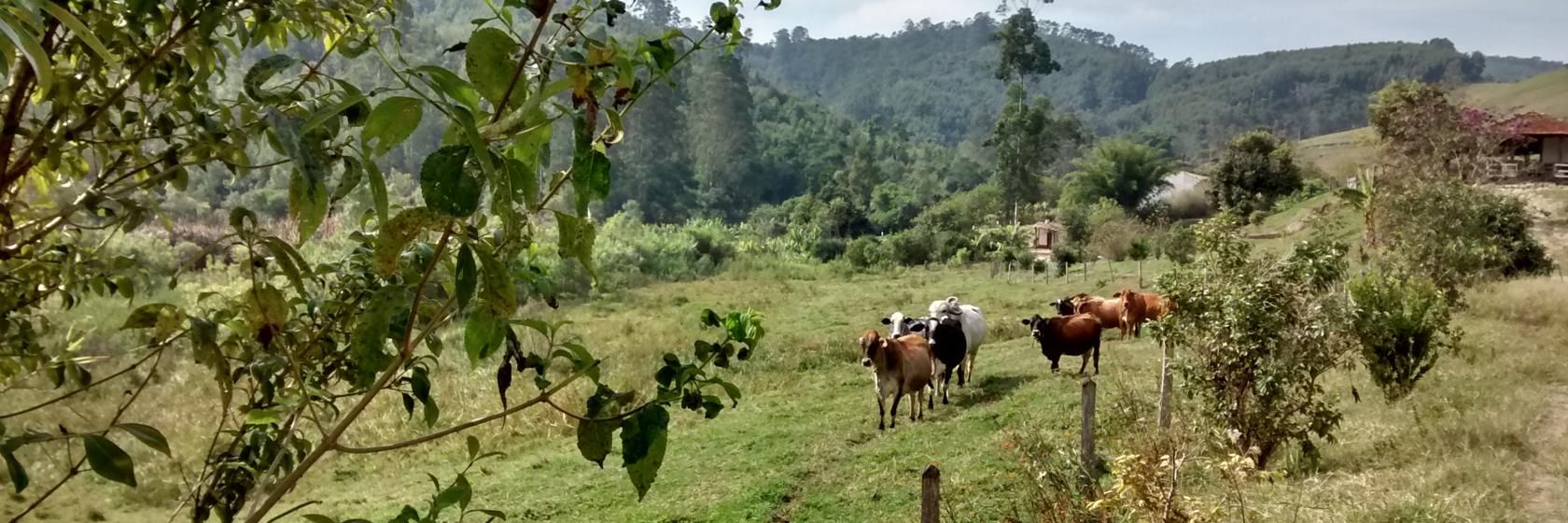 Foto do Santa Branca