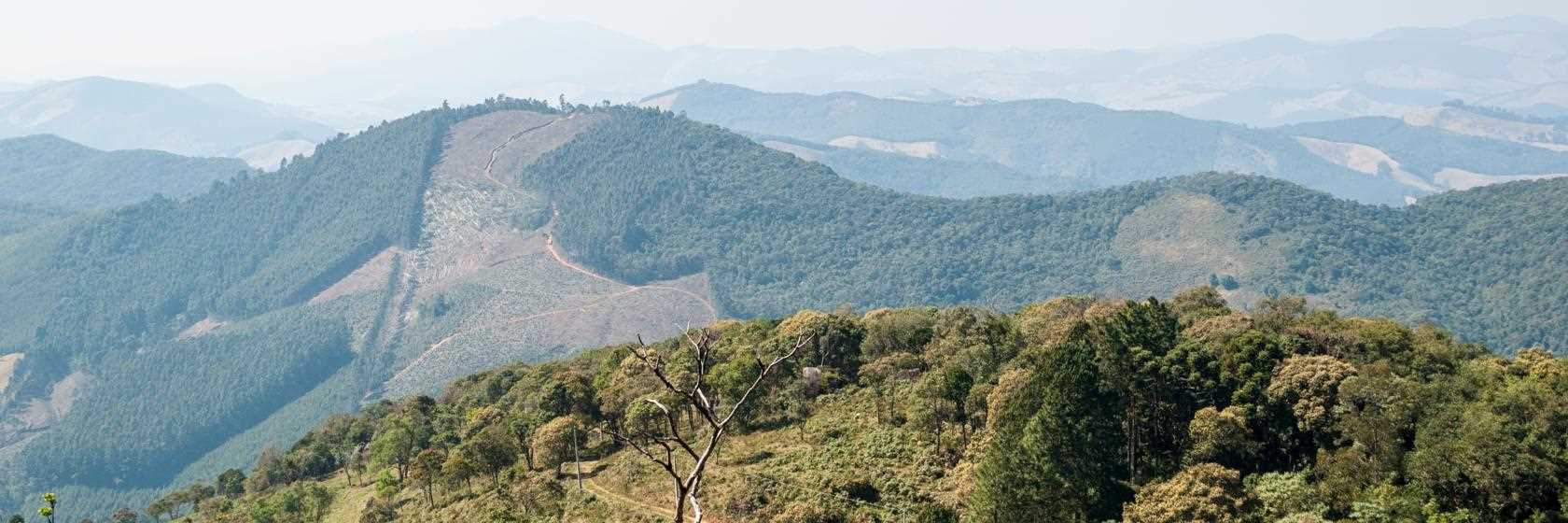 Foto do Monte Alegre do Sul