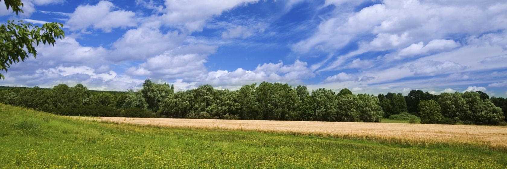 Foto do Tramandaí