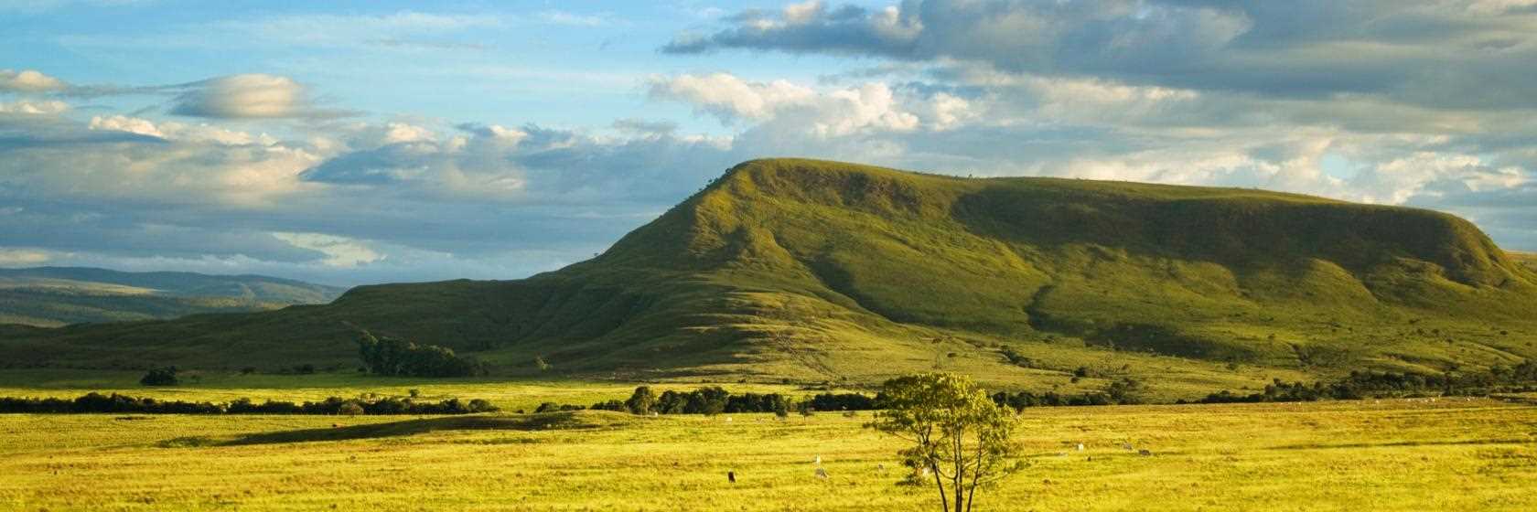 Foto do Jaraguá do Sul