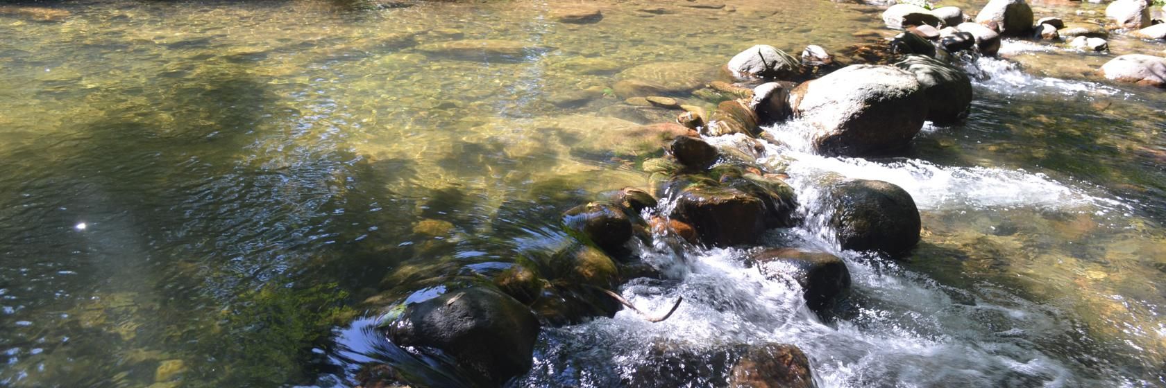 Foto do Guapimirim