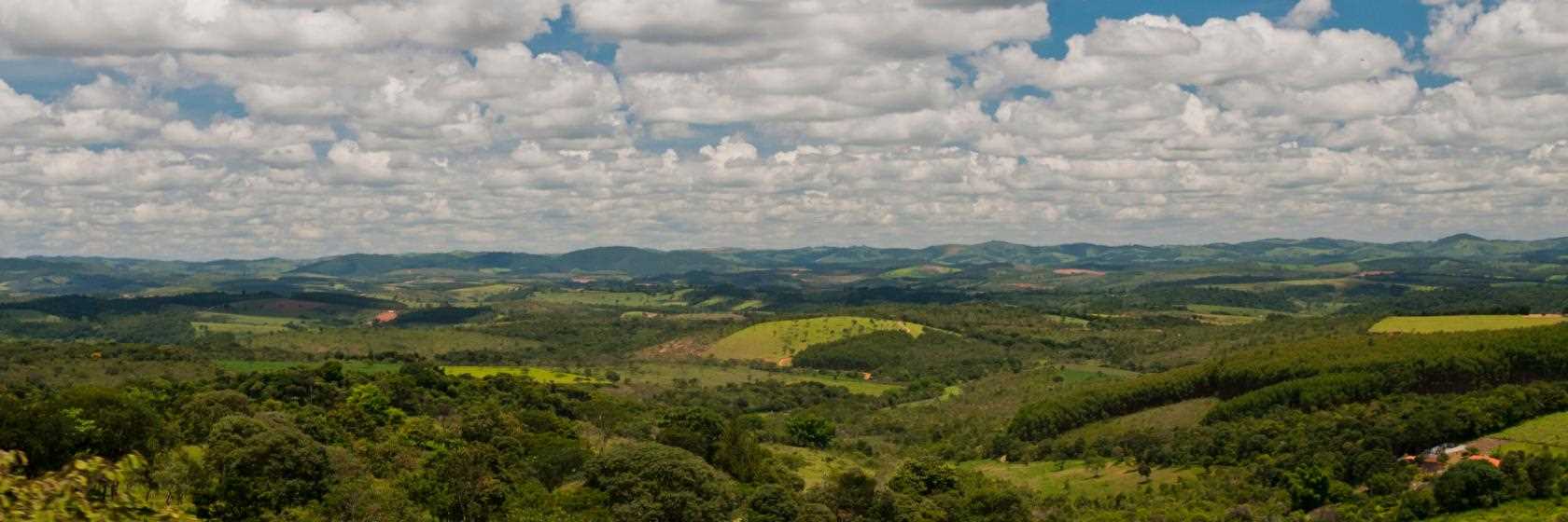 Foto do São José dos Pinhais