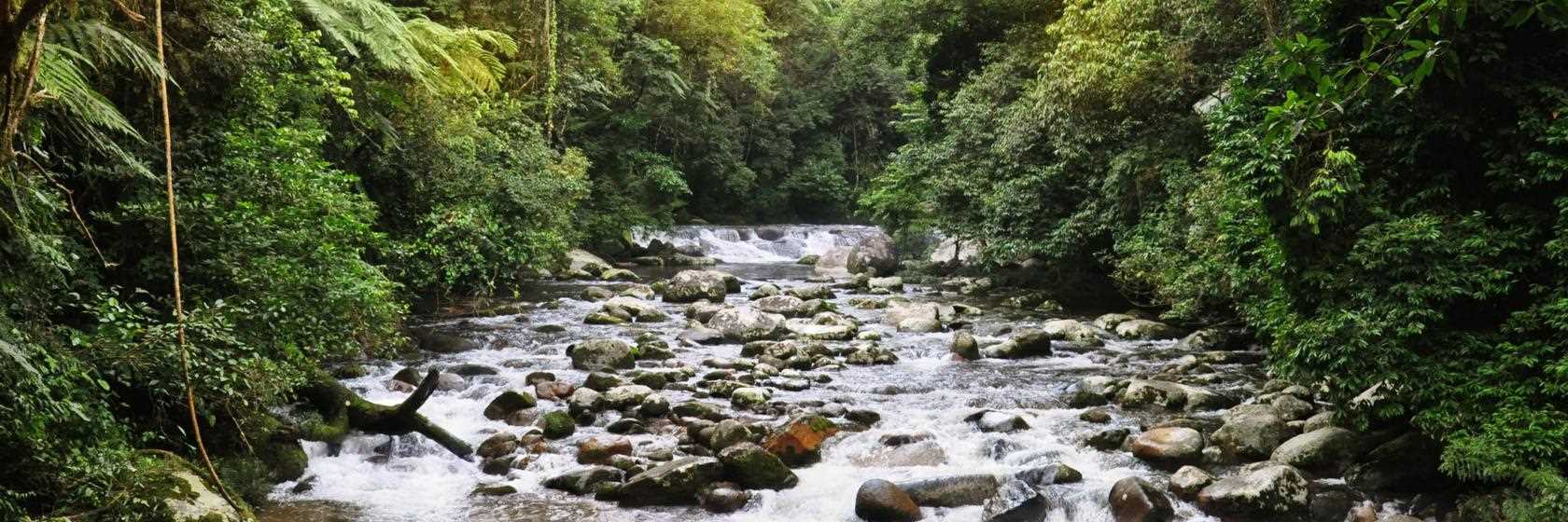 Foto do Toritama